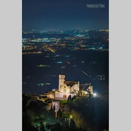 Villetta Panoramica Tra Gli Olivi 펜션 Sterpeto