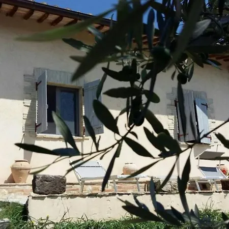 Villetta Panoramica Tra Gli Olivi 펜션